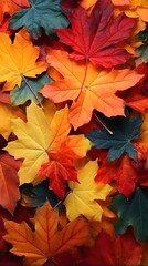 Naklejka na ściany i meble bright background with autumn maple leaves in green, orange and yellow colors, AI generated