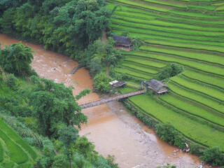 Aerial view of country hut and green rice field terraces