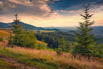 Superb summer sunset in Carpathian mountains. Spectacular evening view of Krynta valley, Ukraine,...
