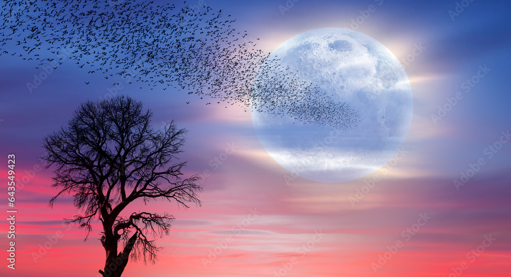 Poster lone dead tree with silhouette of birds flying, full moon rising in the background 