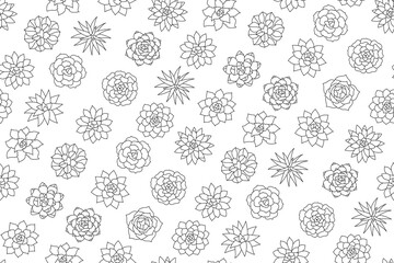 Succulent houseplant doodle seamless pattern. Tropical home plant boundless background. Succulents desert flower summer botanical endless design for paper print, fabric, wrapper backdrop template