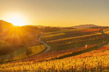 Blick über herbstlich gefärbte Weinberge des Ahrtals bei Bad Neuenahr-Ahrweiler 