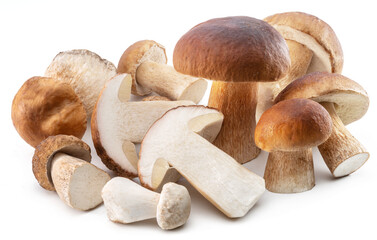 Group of porcini mushrooms isolated on white background.