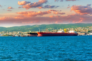 cargo sea port with cranes vehicles, container stacks , supplies and trucks with goods, sea hub terminal from seashore