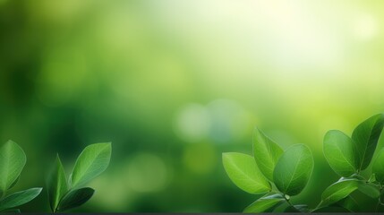 Green leaves eco-friendly background with place for text. Concept of ecology and healthy environment