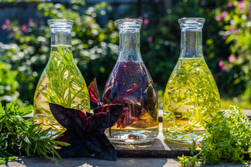 A composition of bottles with rosemary, thyme, basil oil on a blurry background. Rosemary, basil,...