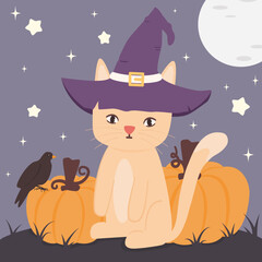 cute hand drawn cartoon character cat with wizard hat and pumpkins funny halloween vector illustration 
