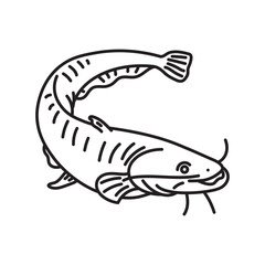 Catfish vector line icon for Catfish Day on June 25