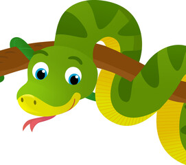 cartoon scene with happy tropical animal snake isolated illustration for children