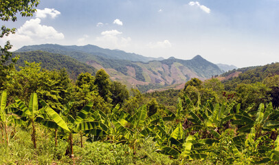 Fototapeta na wymiar View of tropical mountains in northern Thailand