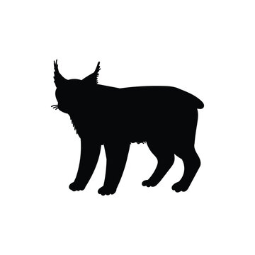 recommend clip art: Lynx fluffy wild cat black silhouette, North America animals, big wild cat cartoon vector illustration isolated on white