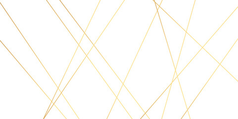 Abstract background with lines. Abstract white and gold colors with lines pattern texture business connection network background. Luxury banner presentation gold line background.