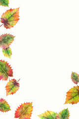 Creative autumn border arrangement made with colorful autumn leaves on bright white background with copy space. Simple seasonal aesthetic.
