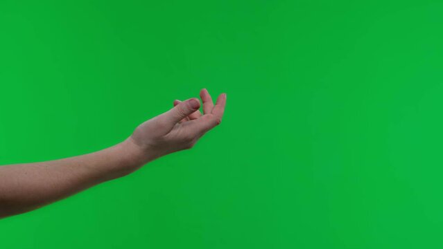 Side view of female hand on green screen chroma key background. Woman stretching out and holding empty open palm hand. Close up, 4k footage