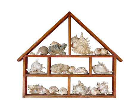 Home shape wooden  shelf on transparent  ,decoration copy space,