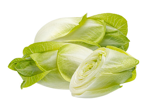 Fresh endive, green chicory salad isolated on white background