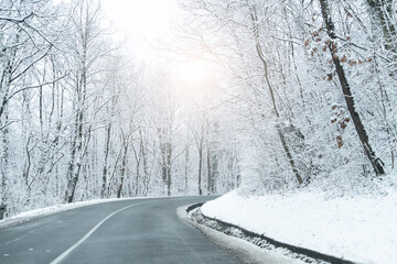 Winter landscape with snow-covered trees and road