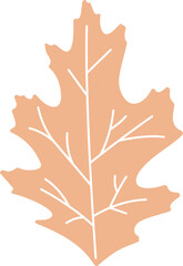 Floral Botanical Leaf