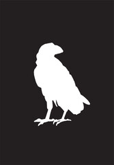 Ink pen vector silhouette of crow isolated on black background. Element for design,tattoo and printing