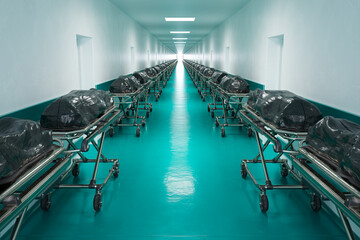The enormous amount of dead human bodies in black plastic bags on hospital beds.