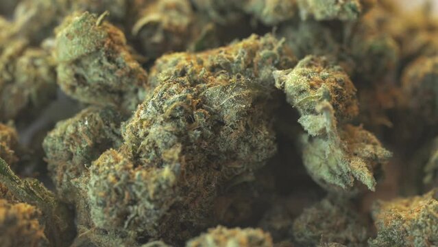 Marijuana Rotating Closeup Background Loop