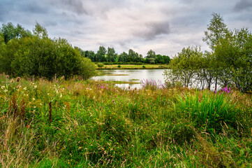 Wildflower Meadow at Branton Lakes, a Nature Reserve which was constructed from a former mineral quarry, located at Branton in the Breamish Valley, Northumberland