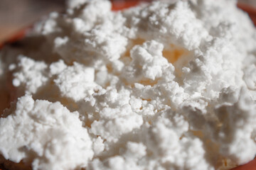 cottage cheese in ecological dishes