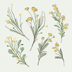 Spring flowers yellow set on green background. Wildflowers collection. Floral minimal design. Botanical vector illustration. 