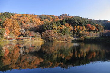 Fototapeta na wymiar 湖面に映る美鈴湖の紅葉