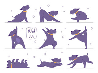 Yoga dog pet set, cute domestic animal doing fitness exercise body training vector illustration