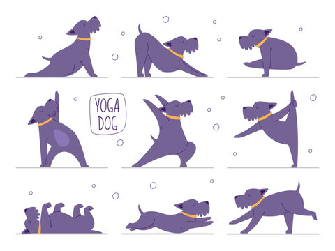 Yoga dog pet set, cute domestic animal doing fitness exercise body training vector illustration