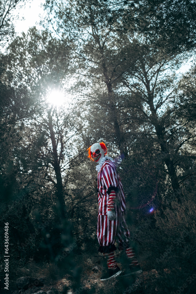 Wall mural mad evil redhead clown walks by the woods