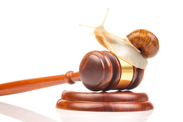 Snail and gavel of justice on a white background. The concept of slow adoption of laws and judicial...
