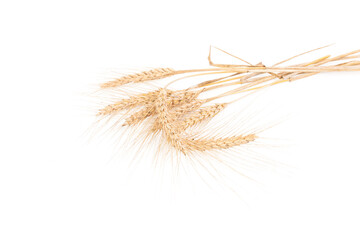 Obraz premium ears of wheat isolated on white