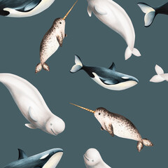 Watercolor seamless pattern with beluga, killer whale and narwhal isolated on white background. Hand painting realistic Arctic and Antarctic ocean mammals. For designers, decorati © Natalia