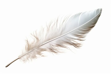 Obraz premium High-quality white feather isolated on transparent background