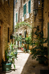 Cozy narrow street with plants in pots in the old town of Kotor