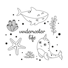 black and white underwater life marine print © StockVector