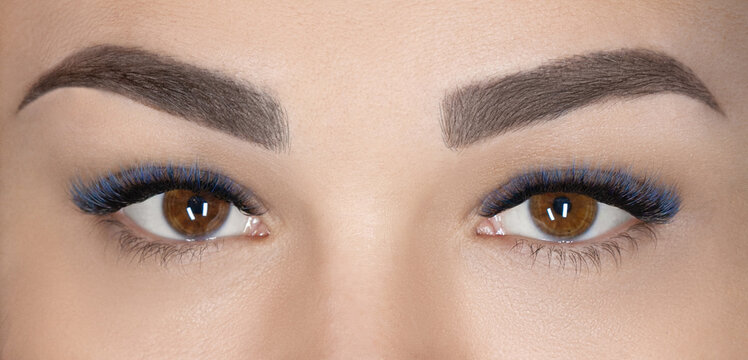 Macro shot of female brown eyeS with 2d 3d 4d volume long false lashes. Young woman with perfect eyes and beautiful black and blue colored eyelash extensions. Closeup beauty photo of lash extension