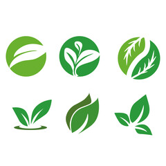 set of green eco leave icons