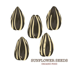 Fototapeta premium Sunflower seeds Many seeds in cartoon style for banner templates, packages, and farmers market design symbols with text isolated on a white background.