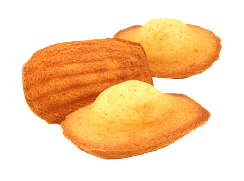 French Madeleine / transparent background