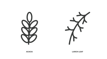 set of nature thin line icons. nature outline icons included acacia, larch leaf vector.