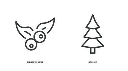 Obraz premium set of nature thin line icons. nature outline icons included bilberry leaf, spruce vector.