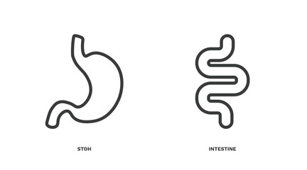set of medical thin line icons. medical outline icons included stoh, intestine vector.