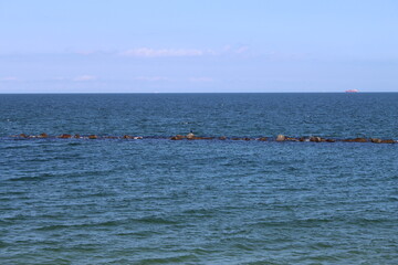 Cormorant on rocks in the Baltic Sea off Sellin on the island of Rügen