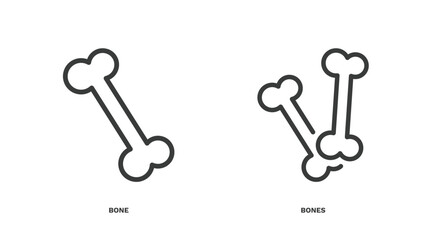 set of history thin line icons. history outline icons included bone, bones vector.