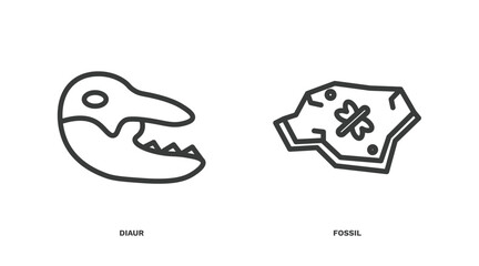 set of history thin line icons. history outline icons included diaur, fossil vector. © Abstract