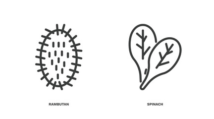 set of vegetables and fruits thin line icons. vegetables and fruits outline icons included rambutan, spinach vector.