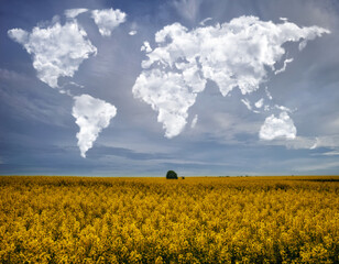 clouds in the form of a world map over a rapeseed field. Travel and landscape concept. hilly field